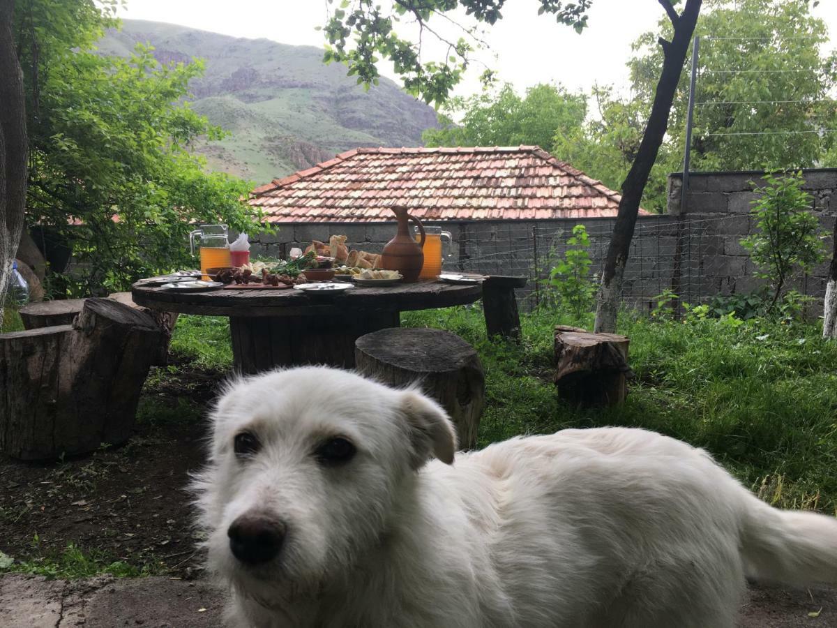 Hotel-Gvala Вардзия Екстериор снимка
